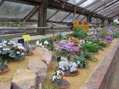 800px-Alpine_House_at_Wisley_5722